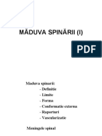 Măduva Spinării