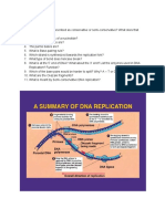 Victoria Vaughn - DNA Replication Review