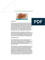 Organic Cultivation Model for High Yielding Turmeric