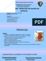 molienda.pdf