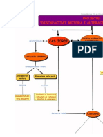 Mapa Conceptual Ticint