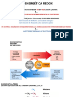 Redox 1