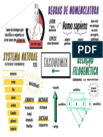 QQD39_Taxonomia.pdf