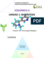 Unidad 1 - Bioquimica