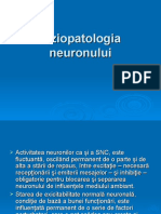 Fiziopatologia Neuronului