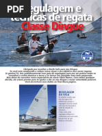 Guia de Regulagem Dingue