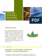 Desarrollo Sostenible y Sustentable