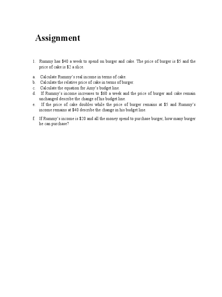 budget assignment pdf