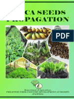 Abaca Seed Propagationbooklet