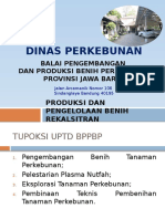 Produksi Dan Pengelolaan Benih Rekalsitran 2019