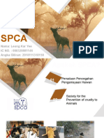 Powerpoint SPCA