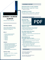 Blue and Grey Software Developer Technology Resume 1