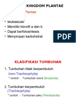 SK.3.3 Dunia Tumbuhan (Lumut Dan Pakua0