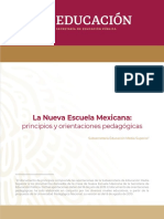 NEM principios y orientacioín pedagoígica