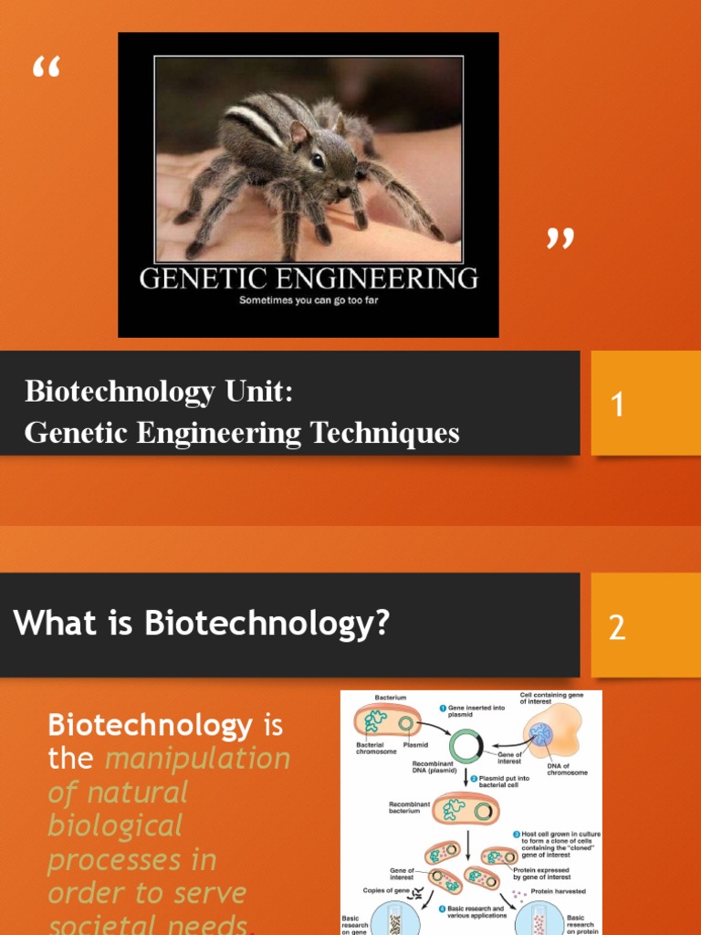 Biotechnology: Genetic Engineering Overview | PDF | Cell Potency | Cloning