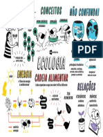 QQD19Ecologia.pdf