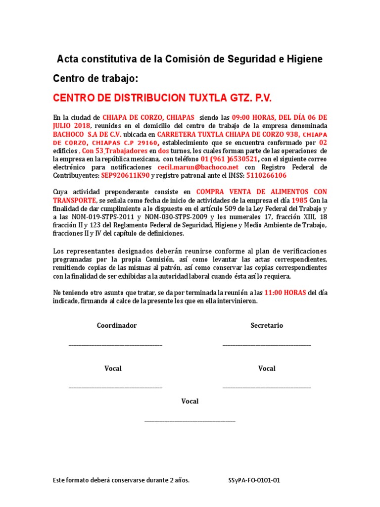 Acta de Integración de La CSH | PDF