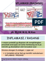 13konsep Inflamasi