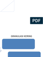 3.1.3. granulasi kering RIZA.pptx