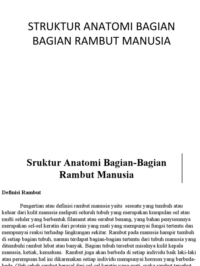 1.a Anatomi Rambut | PDF | Sains & Matematika