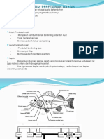 Sistim Peredaran Darah Ikan