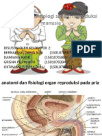 Presentation2 Reproduksi