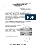 5 Probleme PDF