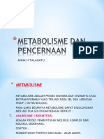 Metabolisme Dan Pencernaan