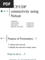 Netcat Slides