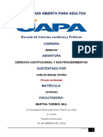 Trabajo Final Derecho Costitucional y Sus Procedimientos