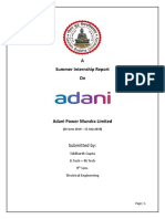 Adani Report Newew