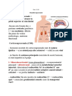 Curs 23.03.docx