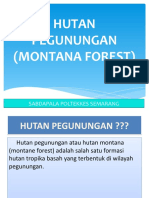 Hutan Pegunungan - LH