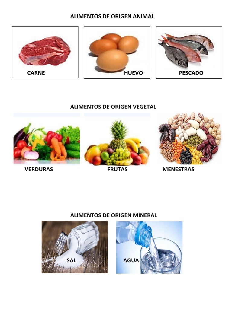 Alimentos Origen Animal Vegetal Mineral | PDF | Cocina, comidas y vino