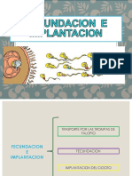 Fecundación e implantación.pdf