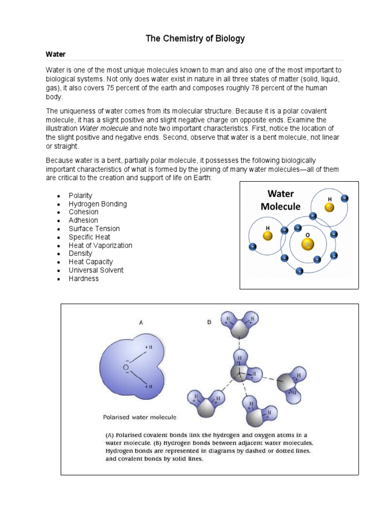 INTRODUCTION TO BIOCHEMISTRY BIOMOLECULES WATER PH ENZYMES AND intelligence overview
