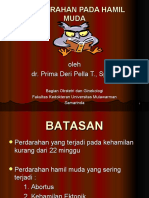 Perdarahan Hamil Muda