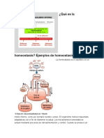 Qué Es La Homeostasis Biologia Parte 1 Trabajo