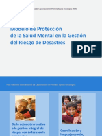 Modelo de Protección de La Salud Mental en La Gestión de Riesgos de Desastres