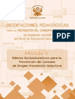 modulo-v(1).pdf