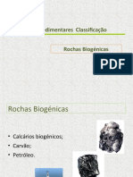 Classificação e formação de rochas biogênicas e combustíveis fósseis