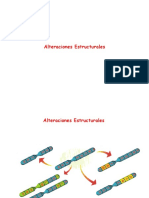 Alteraciones Estructurales Translocaciones