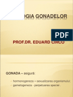 Patologia Gonadelor