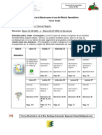 Plan de La Maestra Para El Uso Del Módulo Remediativo Tercero de Carmen