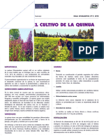 Hoja Divulgativa Manejo Cultivo Quinua PDF