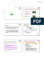 Flowering Handout1