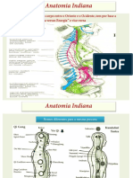 Anatomia Indiana I