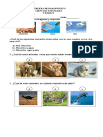 Ciencias Diag 1°basico Definitiva