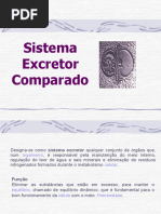 207_362sistema_urinario_comparado.ppt