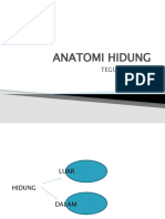 anatomi, faal, px hidung, pf, TEGUH